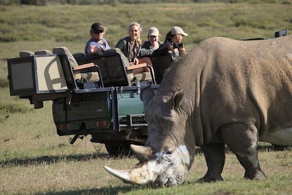 4-Day Garden Route Tours from Cape Town with Game Drive