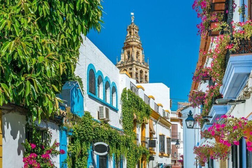 Cordoba Private Daytrip from Sevilla by Train