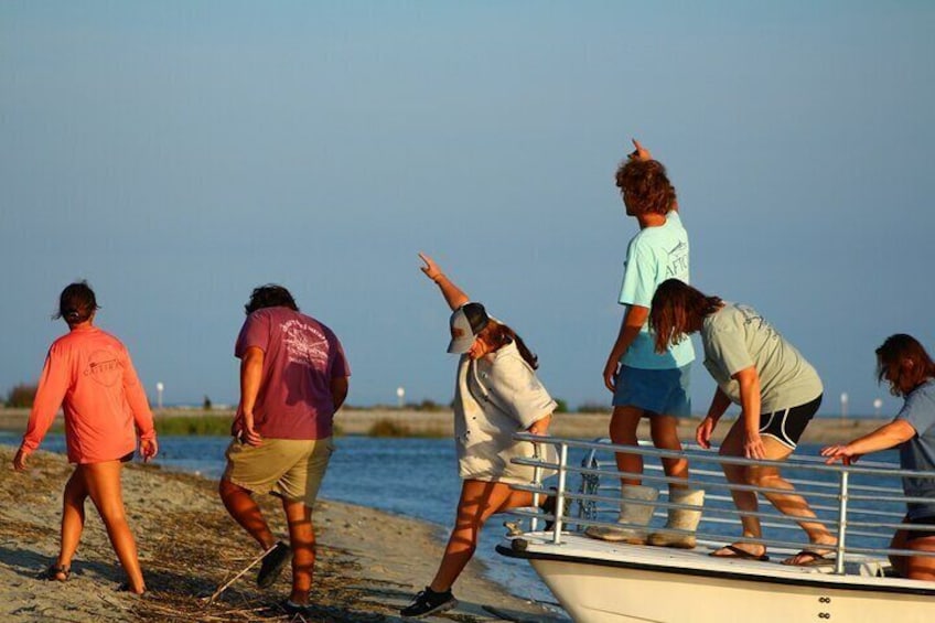 Folly Beach Eco Boat Excursion and Morris Island Drop Off