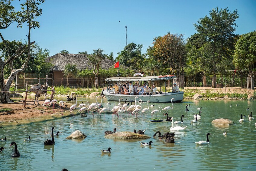 River Safari With Candle-lit Beach Dinner From Hoi An