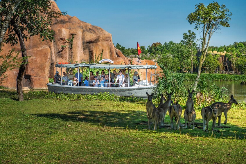 River Safari With Candle-lit Beach Dinner From Hoi An