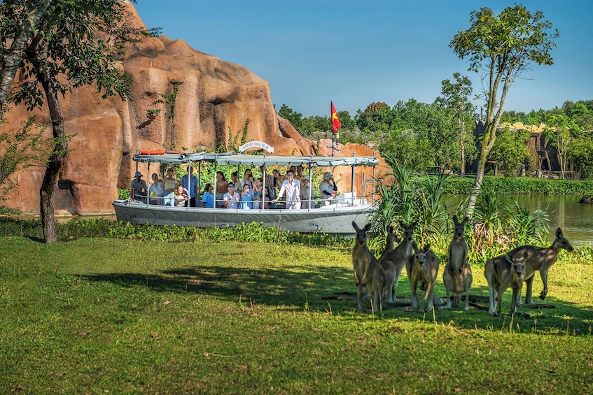 River Safari With Candle-lit Beach Dinner From Hoi An