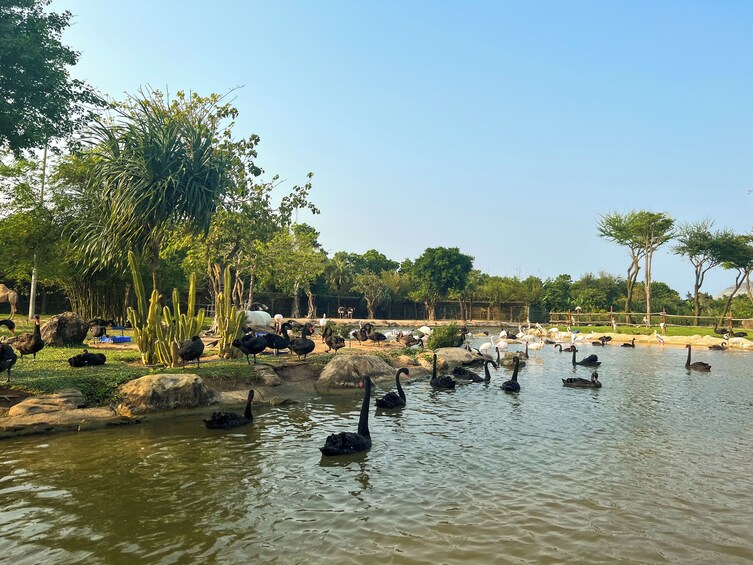 River Safari With Candle-lit Beach Dinner From Hoi An