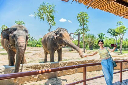 Safari por el río South Hoi An con cena en la playa a la luz de las velas