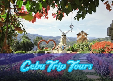 Filippine: Tour privato di Cebu City e Highland Vista