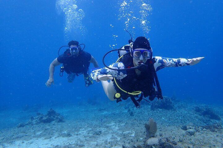 Personalized Beginner's Diving Experience in Cozumel