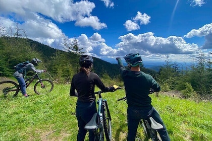 Half Day Mountain Bike Tour from Seattle