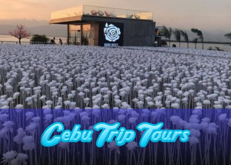 Philippines: Private Cebu City Tour & 10 Thousand Roses with Dinner