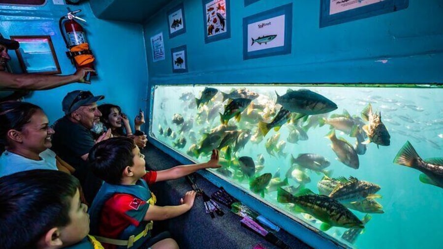 Glass Bottom Boat Ride in Redondo Beach