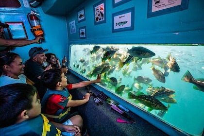 Glass Bottom Boat Ride in Redondo Beach