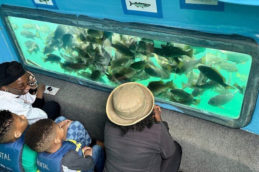 Glass Bottom Boat Ride in Redondo Beach