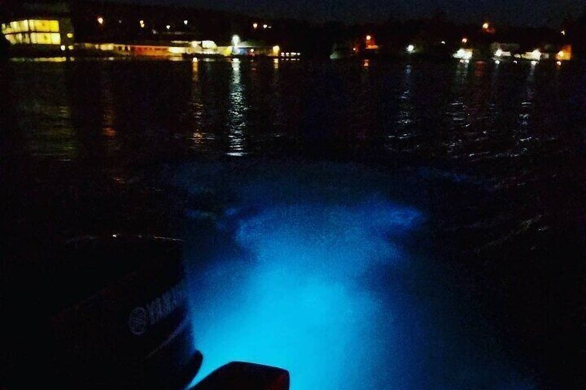 Night Tour Experience in Luminous Lagoon 