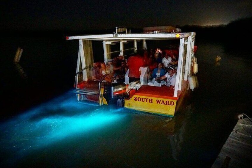 Night Tour Experience in Luminous Lagoon 