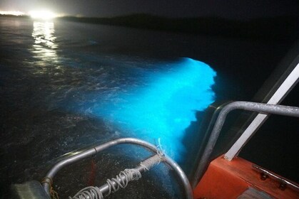 Night Excursion Experience at Luminous Lagoon