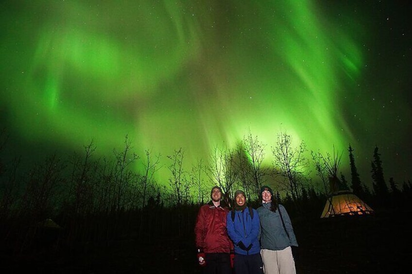 Discover Whitehorse with Northern Lights and Yukon Wildlife Tour