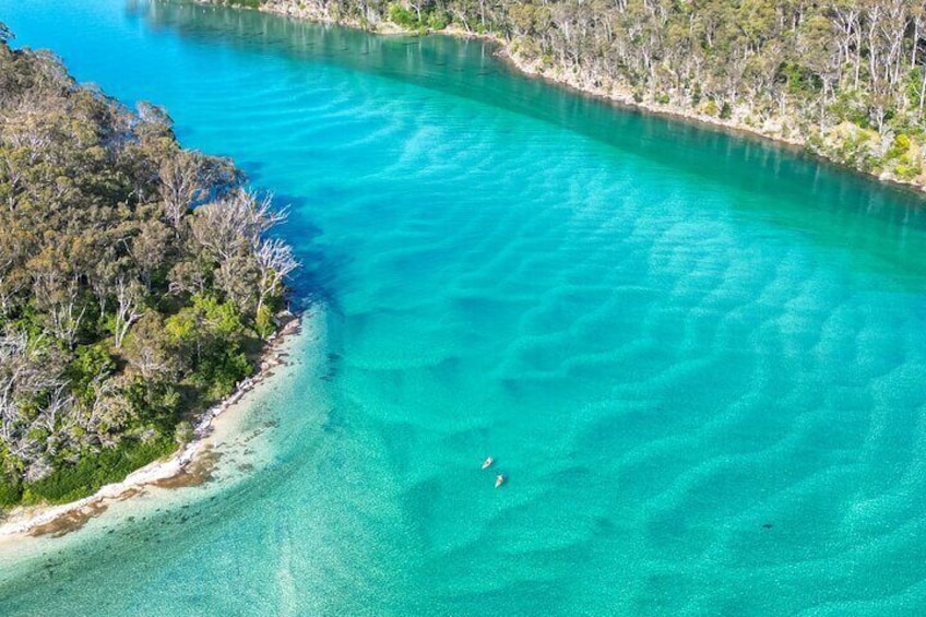 Pambula River Kayaking Tour