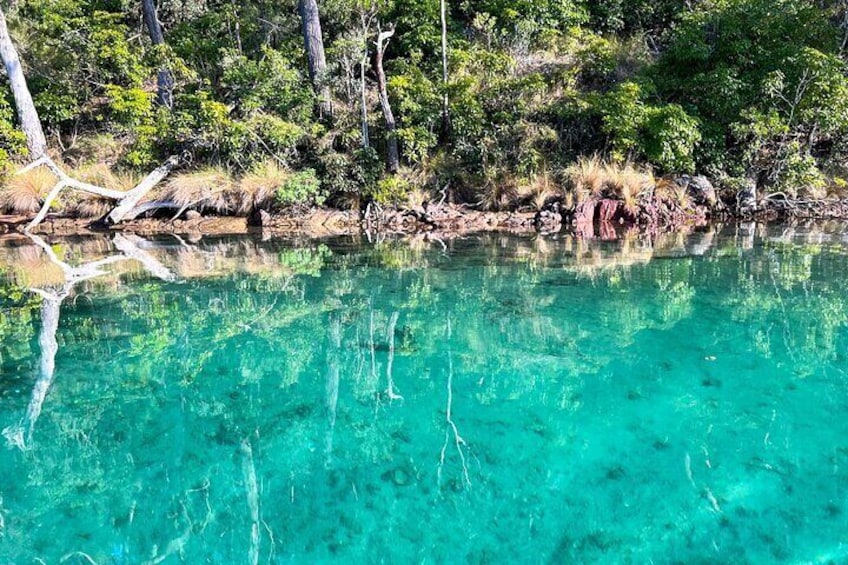 Pambula River Kayaking Tour