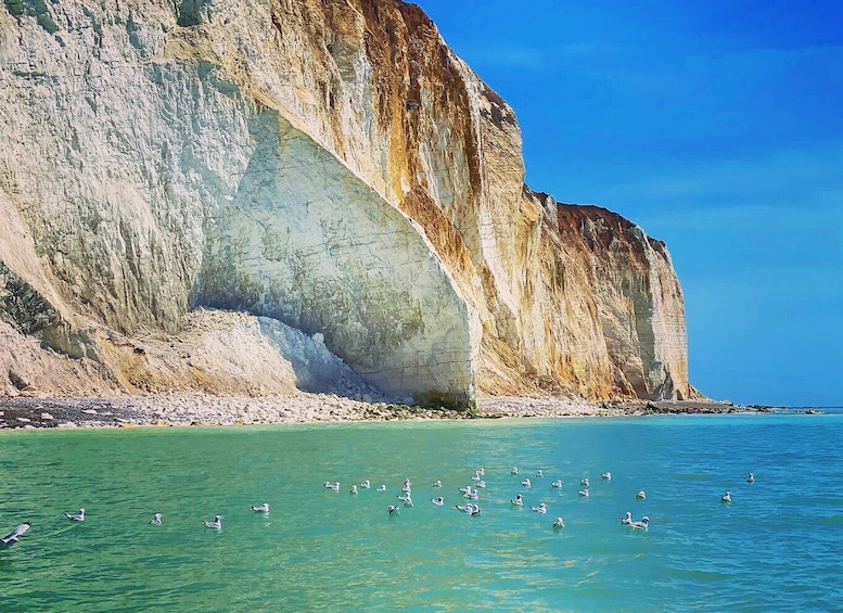 Picture 6 for Activity From Brighton: Seven Sisters Boat Tour