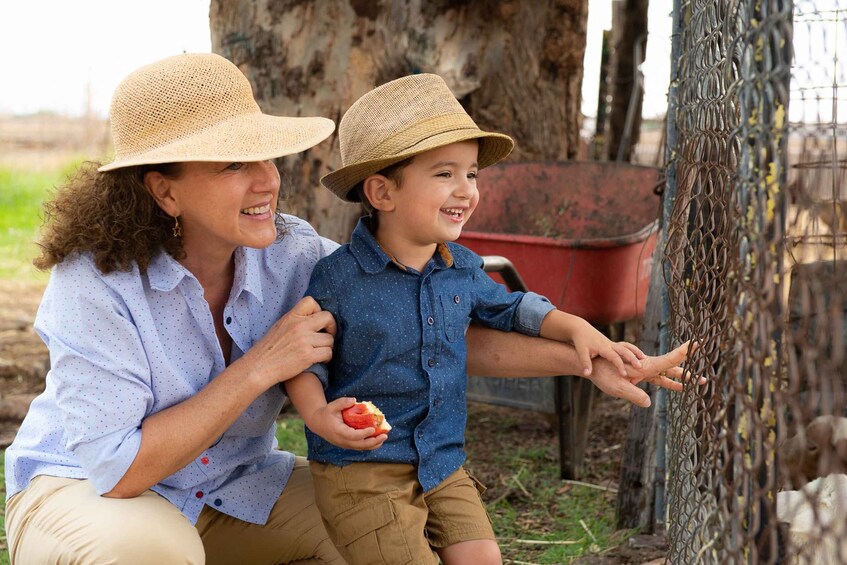 Picture 4 for Activity Queretaro: Rancho Santa Marina Farm Tour in Spanish