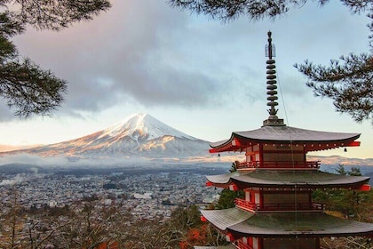 Mt Fuji 100% Personalised and Private Tour with daily Chauffeur