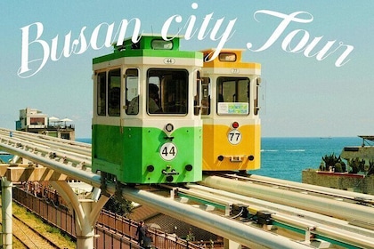 Busan Full Day Private Tour with Daily Chauffeur