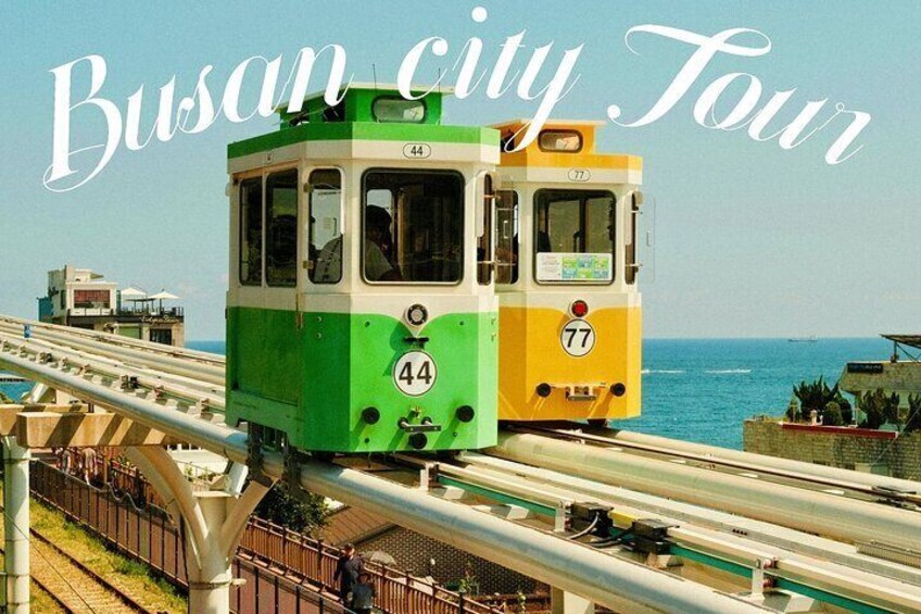 Busan Full Day Private Tour with Daily Chauffeur