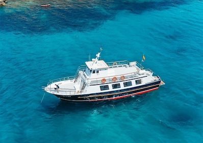 Palma: Excursión en barco por la bahía de Palma y snorkel con bebida inclui...