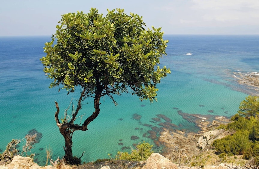 Pafos Zoo Visit & Blue Lagoon Cruise - Limassol