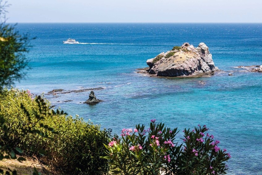Pafos Zoo Visit & Blue Lagoon Cruise - Limassol