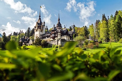 Peles et les châteaux de Cantacuzino : Voyage gastronomique, vinicole et cu...