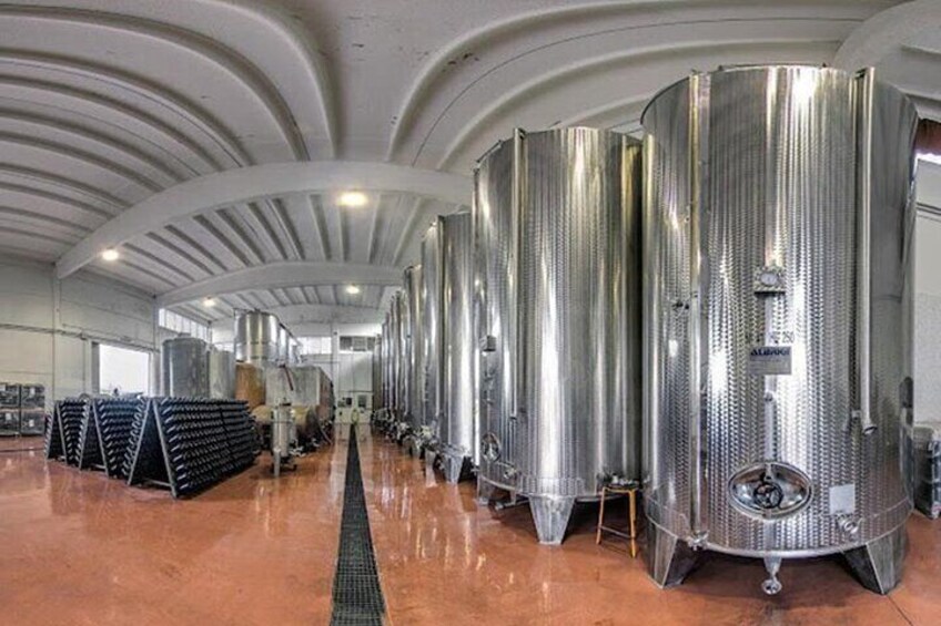 Tasting Activity of barrel aged-wines in Valeggio