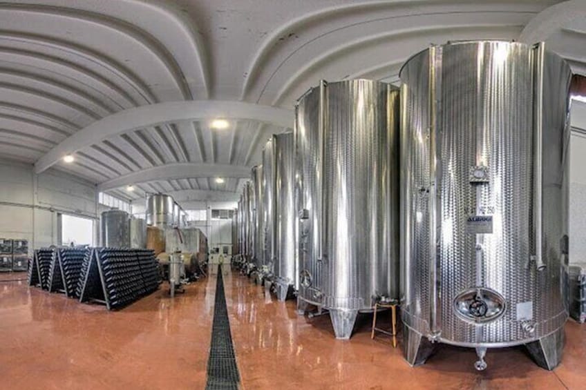 Tasting Activity of barrel aged-wines in Valeggio