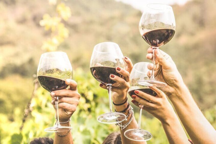 Grape Escapes Wine Full-Day Tour in Ithaca