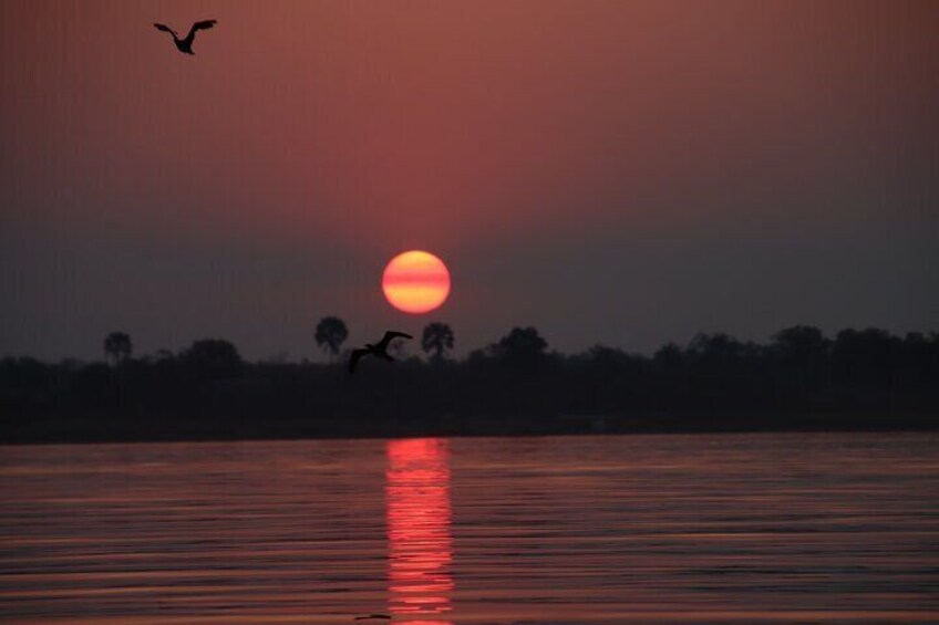 Zambezi sunset