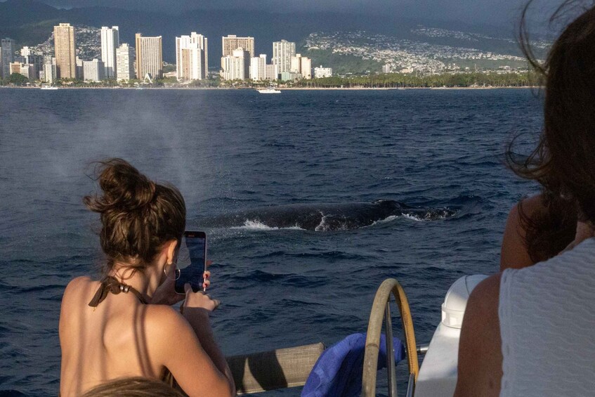 Picture 1 for Activity From Honolulu: Private Catamaran Cruise with Captain & Crew