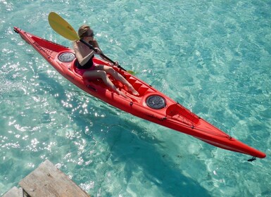 Sardaigne : Excursion en kayak du matin avec plongée en apnée et fruits