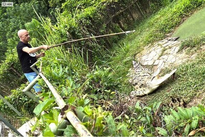 Visite privée d'aventure dans le zoo de reptiles avec guide à Carthagène