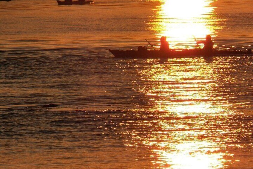 2-Hour Miami Sunset Biscayne Bay Kayak Tour