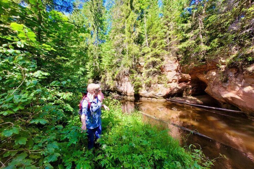 Full Day Gauja National Park Ultimate Hiking & Sightseeing Trip
