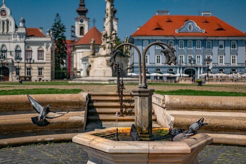 Capture the most Photogenic Spots of Timișoara with a Local