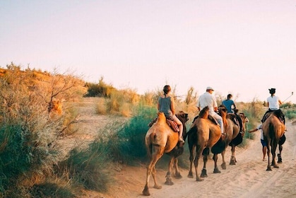 2 Days Private Safari Tour from Bukhara