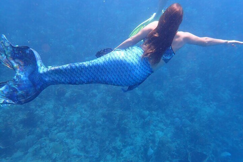 Discover Mermaid Experience in Rincón