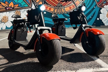 2-Hour Fat-Tire Scooter Rental in Dallas