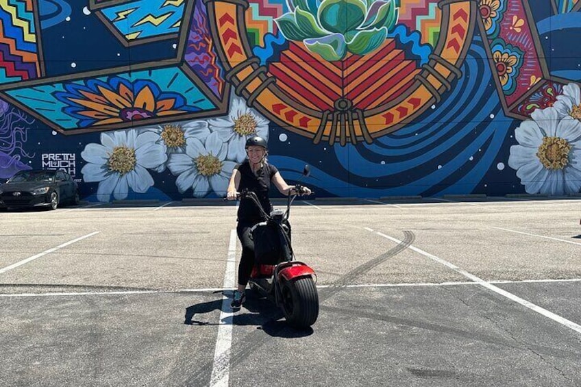 Dallas Fat Tire Scooter: 2 hour Rental