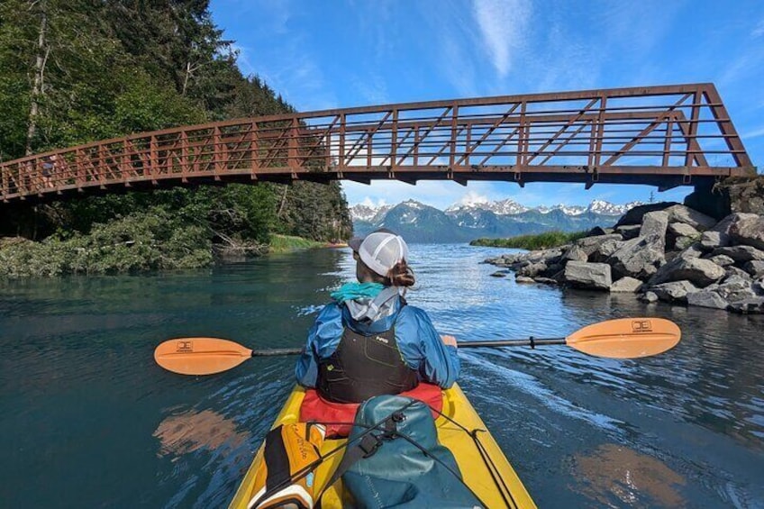Tonsina Point Kayak in Resurrection Bay