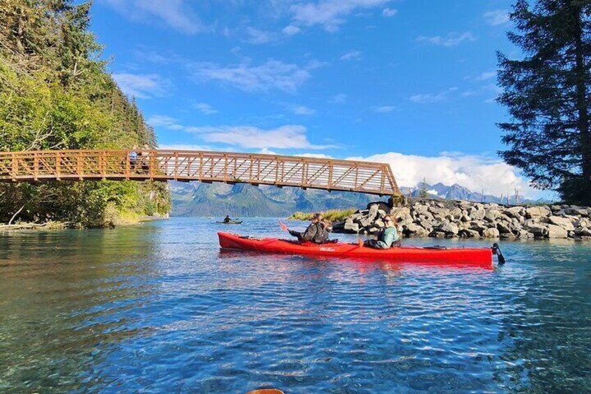 Tonsina Point Kayak in Resurrection Bay