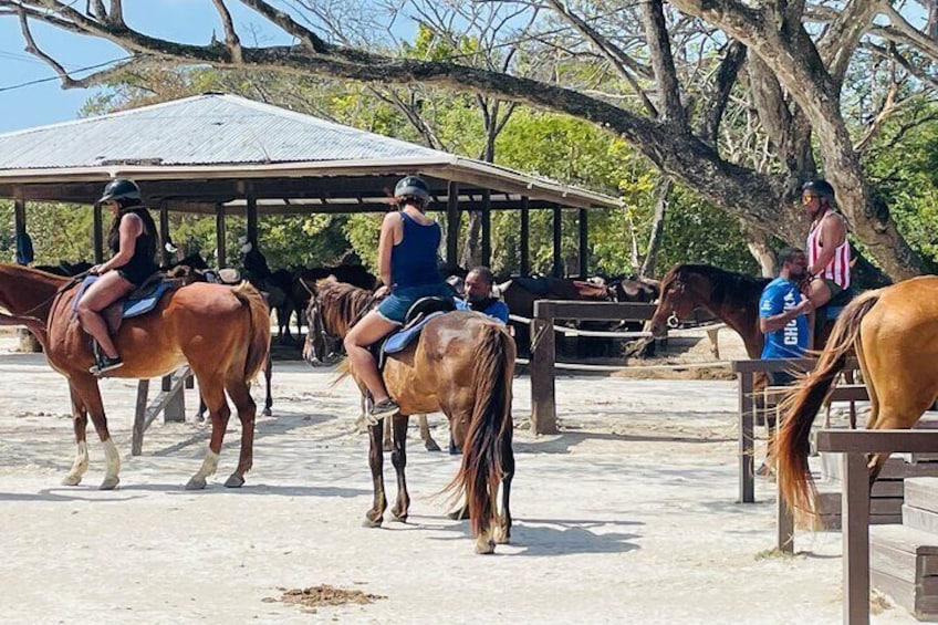 Private Horseback Riding and Bamboo Rafting in Ochi Rios 