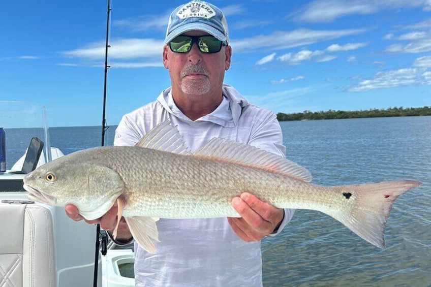 4 Hour Marco Island Private Fishing,Shelling,or EcoExperience