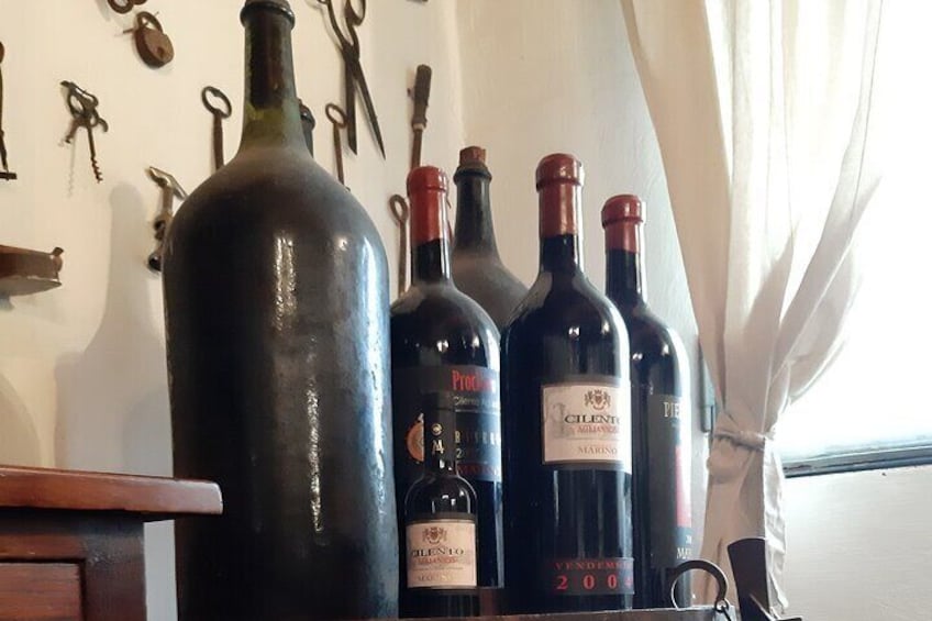 Private Wine Tasting Tour in Cilento with Mozzarella Farm