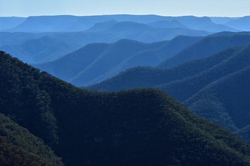 Blue Mountains Day Adventure, Featherdale Wildlife & River Cruise